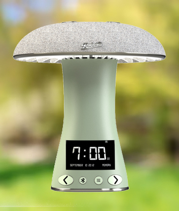 Roberts - Well-being Alarm Clock